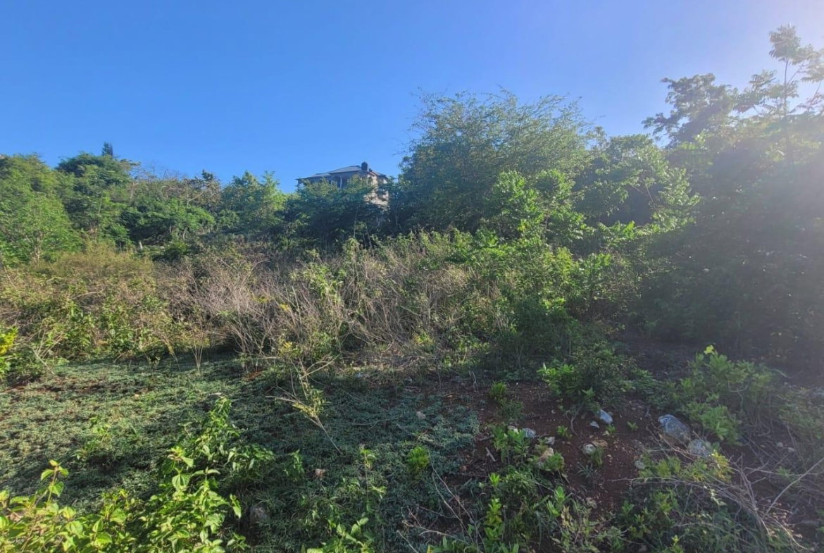 Third image of Lot 68- Outlook Avenue in Sligoville, St. Catherine, Jamaica - property is For Sale