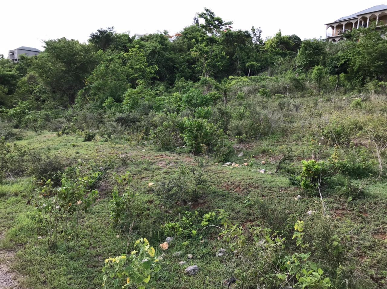 Sixth image of Lot 68- Outlook Avenue in Sligoville, St. Catherine, Jamaica - property is For Sale