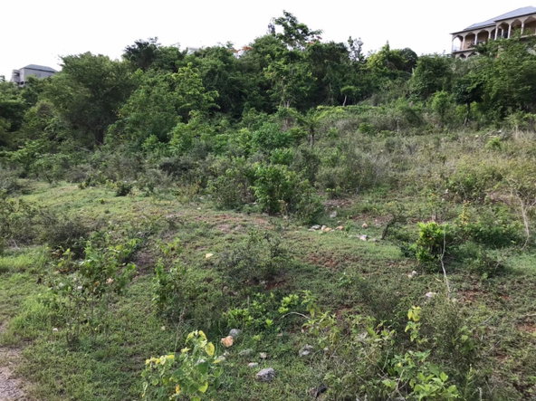 Sixth image of Lot 68- Outlook Avenue in Sligoville, St. Catherine, Jamaica - property is For Sale
