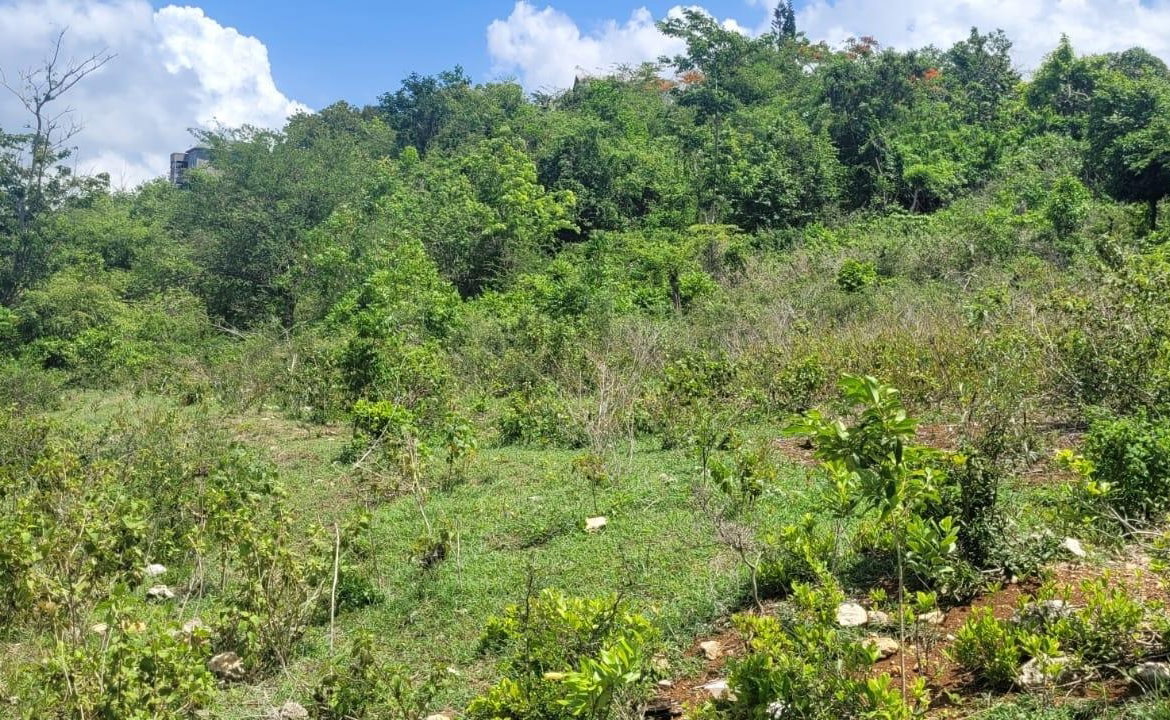 Seventh image of Lot 68- Outlook Avenue in Sligoville, St. Catherine, Jamaica - property is For Sale