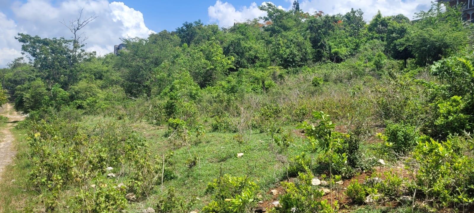 Seventh image of Lot 68- Outlook Avenue in Sligoville, St. Catherine, Jamaica - property is For Sale