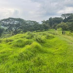 First image of 26 Saxham in Saxham, Hanover, Jamaica - property is For Sale