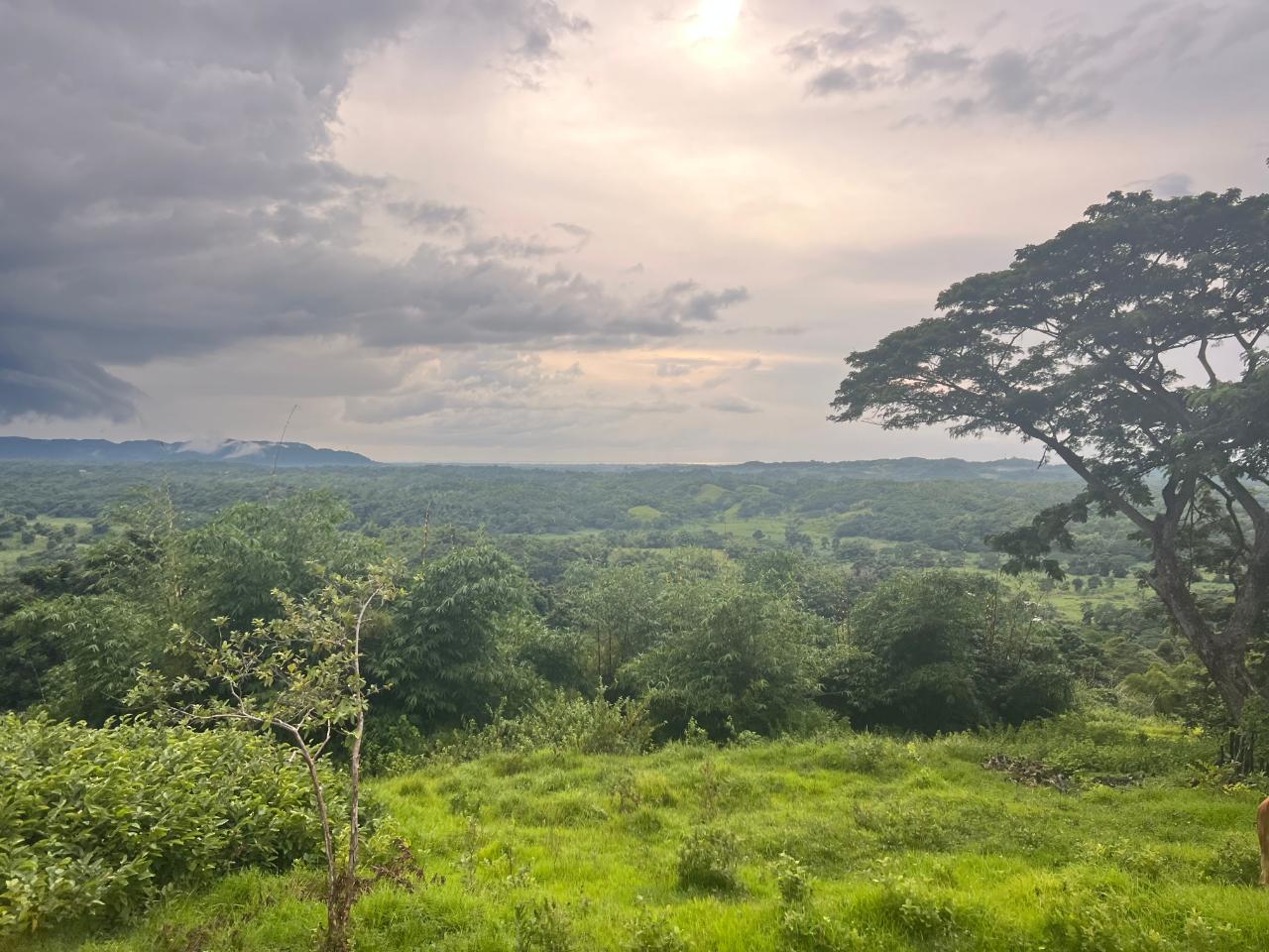 Third image of 26 Saxham in Saxham, Hanover, Jamaica - property is For Sale
