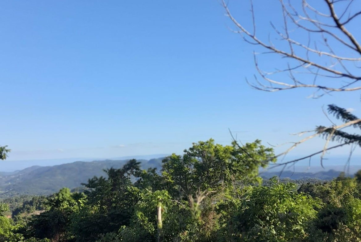 Second image of New Works, Ivanhoe in New Works, Westmoreland, Jamaica - property is For Sale