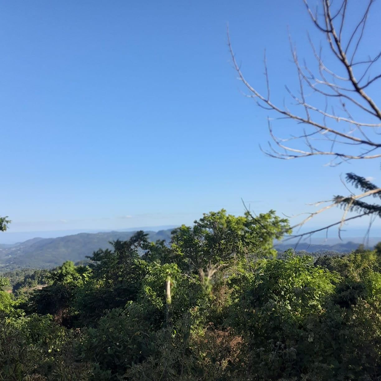 Second image of New Works, Ivanhoe in New Works, Westmoreland, Jamaica - property is For Sale