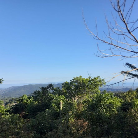 Second image of New Works, Ivanhoe in New Works, Westmoreland, Jamaica - property is For Sale