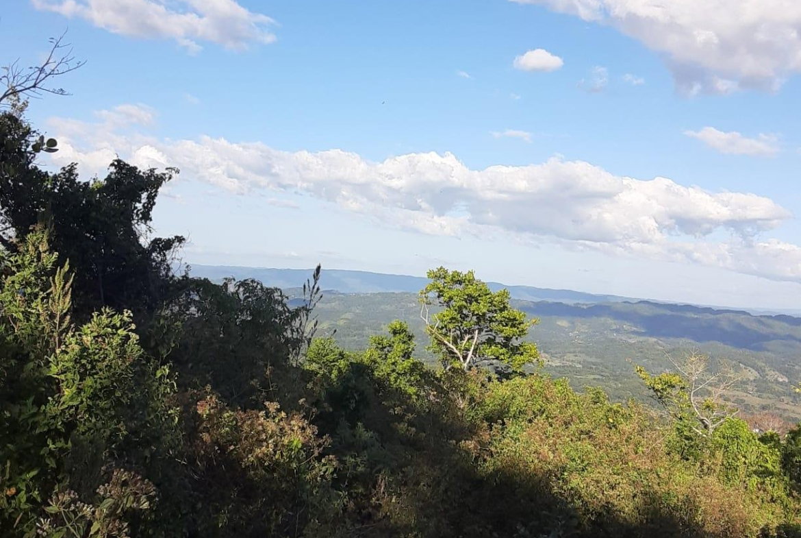 First image of New Works, Ivanhoe in New Works, Westmoreland, Jamaica - property is For Sale