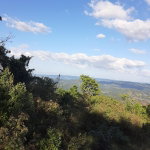 First image of New Works, Ivanhoe in New Works, Westmoreland, Jamaica - property is For Sale