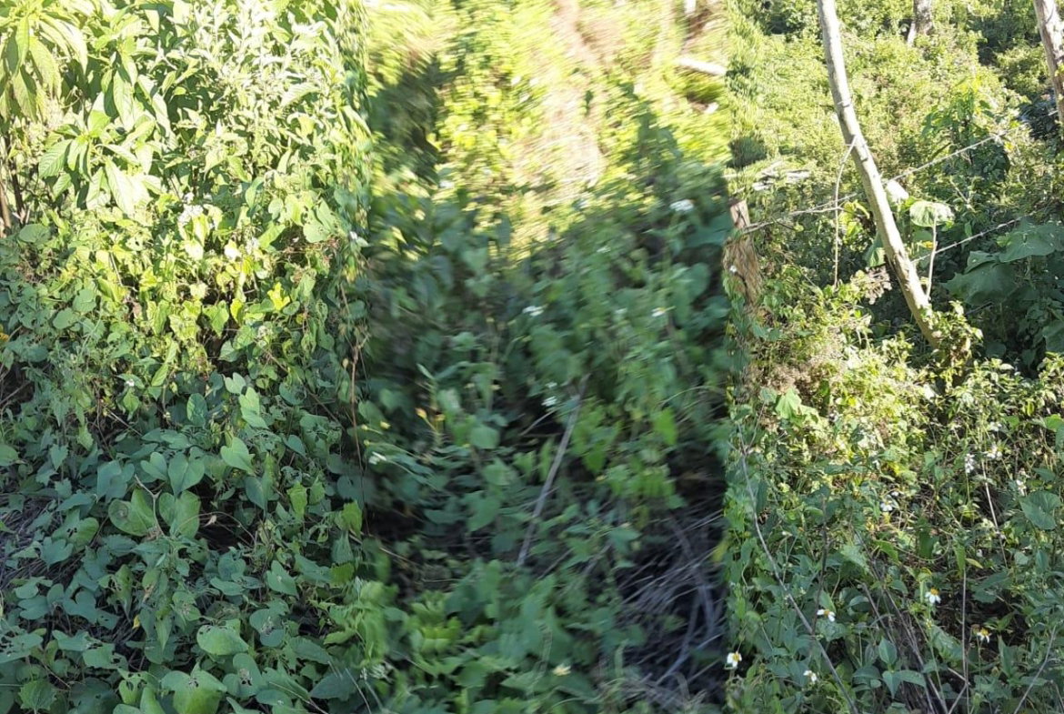 Third image of New Works, Ivanhoe in New Works, Westmoreland, Jamaica - property is For Sale