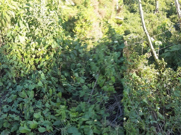 Third image of New Works, Ivanhoe in New Works, Westmoreland, Jamaica - property is For Sale