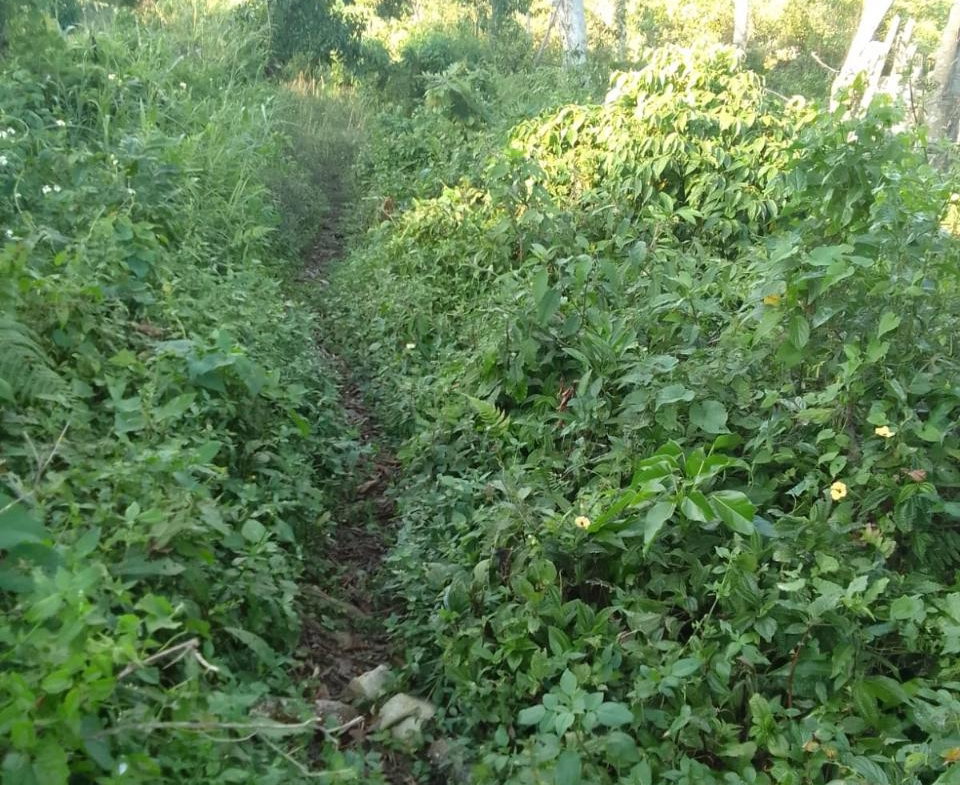 Fourth image of New Works, Ivanhoe in New Works, Westmoreland, Jamaica - property is For Sale