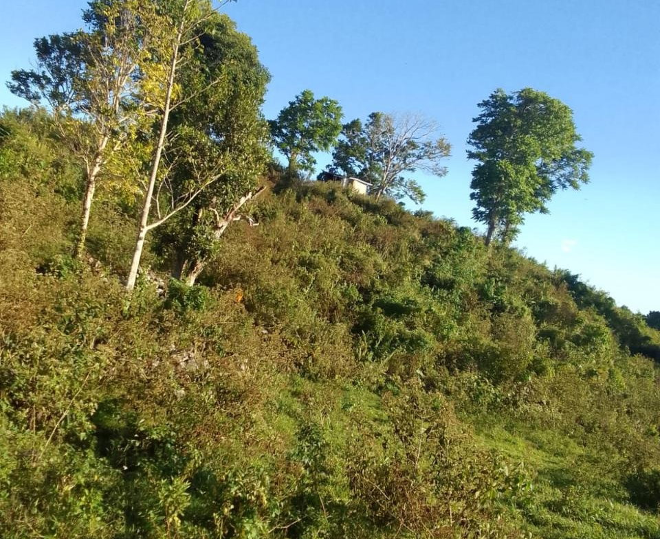 Sixth image of New Works, Ivanhoe in New Works, Westmoreland, Jamaica - property is For Sale
