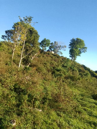 Sixth image of New Works, Ivanhoe in New Works, Westmoreland, Jamaica - property is For Sale