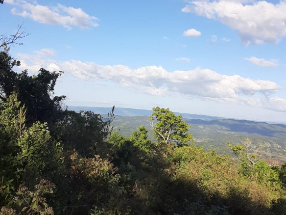 First image of New Works, Ivanhoe in New Works, Westmoreland, Jamaica - property is For Sale