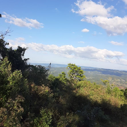 First image of New Works, Ivanhoe in New Works, Westmoreland, Jamaica - property is For Sale