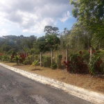 First image of 98 Pyramid Heights in Ocho Rios, St. Ann, Jamaica - property is For Sale