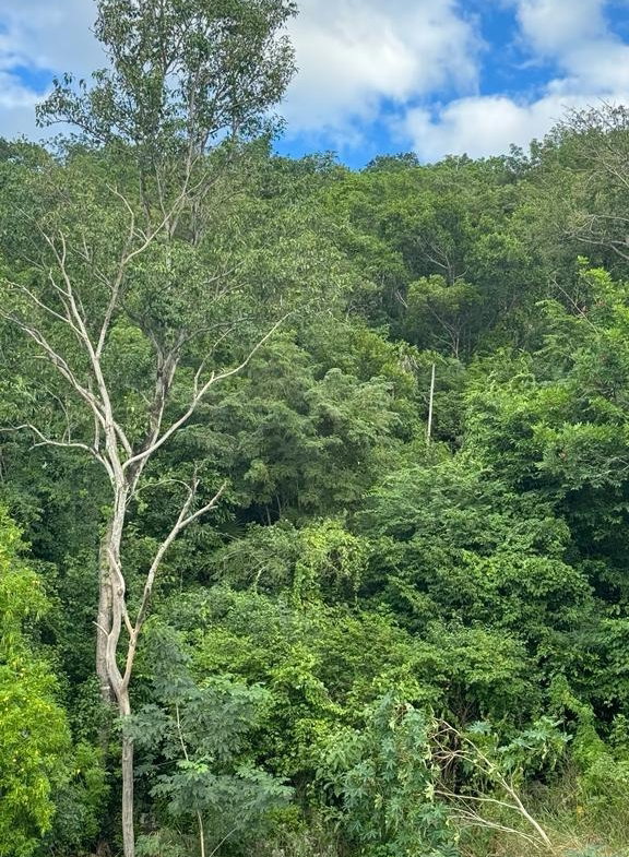 Second image of Lot 189- Plantation Heights, Kings in Kingston 19, St. Andrew, Jamaica - property is For Sale