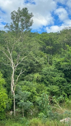Second image of Lot 189- Plantation Heights, Kings in Kingston 19, St. Andrew, Jamaica - property is For Sale