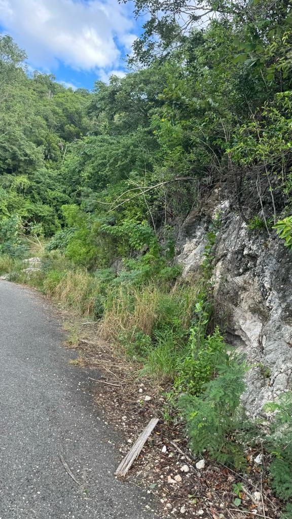 Eleventh image of Lot 189- Plantation Heights, Kings in Kingston 19, St. Andrew, Jamaica - property is For Sale