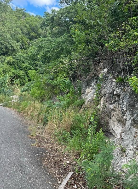 Twelfth image of Lot 189- Plantation Heights, Kings in Kingston 19, St. Andrew, Jamaica - property is For Sale