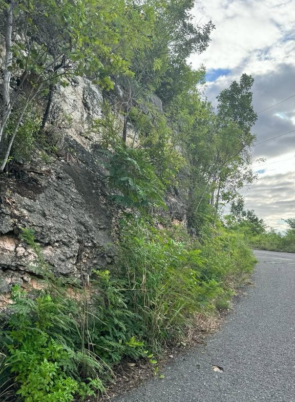 Thirteenth image of Lot 189- Plantation Heights, Kings in Kingston 19, St. Andrew, Jamaica - property is For Sale