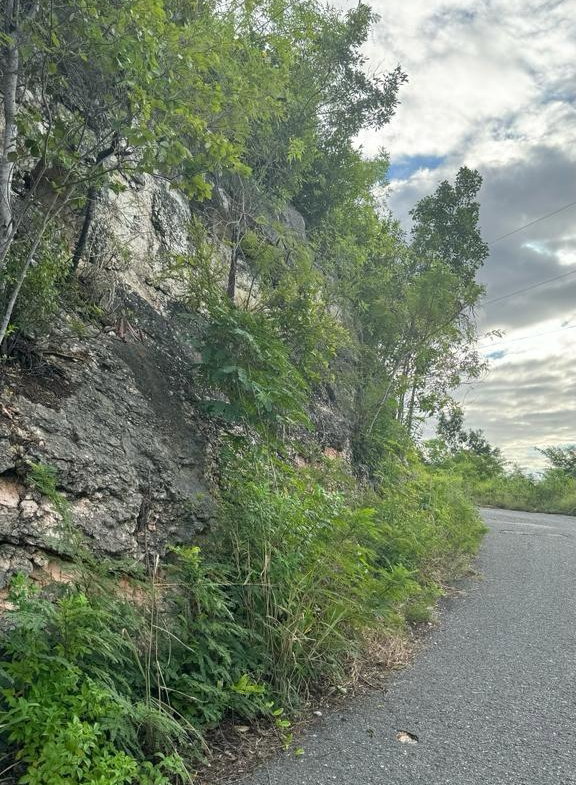 Fourteenth image of Lot 189- Plantation Heights, Kings in Kingston 19, St. Andrew, Jamaica - property is For Sale