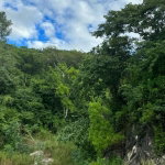 First image of Lot 189- Plantation Heights, Kings in Kingston 19, St. Andrew, Jamaica - property is For Sale