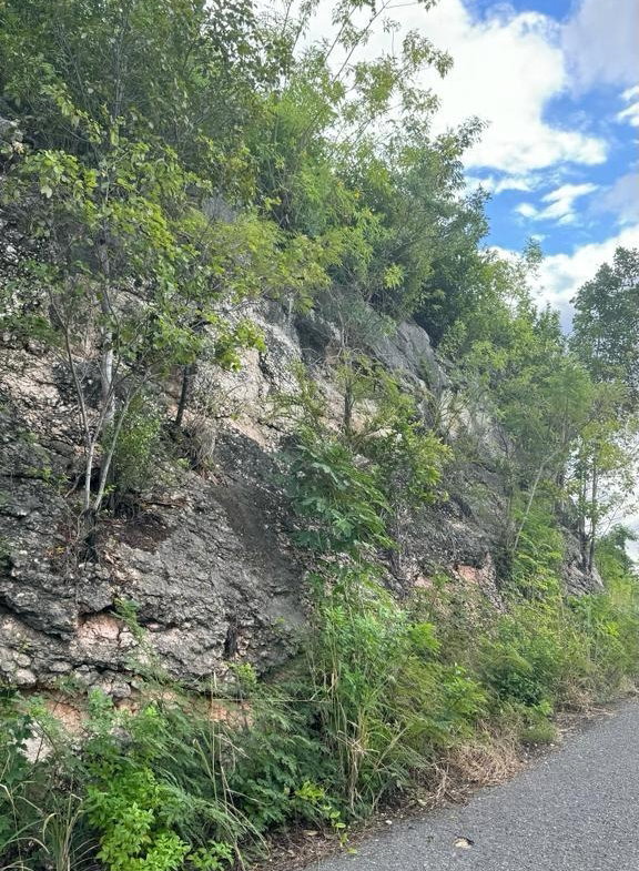 Third image of Lot 189- Plantation Heights, Kings in Kingston 19, St. Andrew, Jamaica - property is For Sale