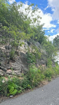 Third image of Lot 189- Plantation Heights, Kings in Kingston 19, St. Andrew, Jamaica - property is For Sale