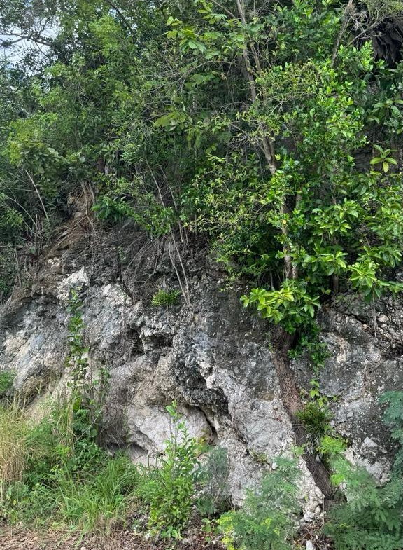 Fifth image of Lot 189- Plantation Heights, Kings in Kingston 19, St. Andrew, Jamaica - property is For Sale