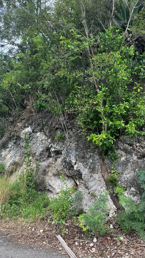 Fifth image of Lot 189- Plantation Heights, Kings in Kingston 19, St. Andrew, Jamaica - property is For Sale