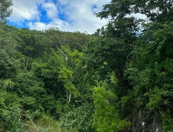 First image of Lot 189- Plantation Heights, Kings in Kingston 19, St. Andrew, Jamaica - property is For Sale