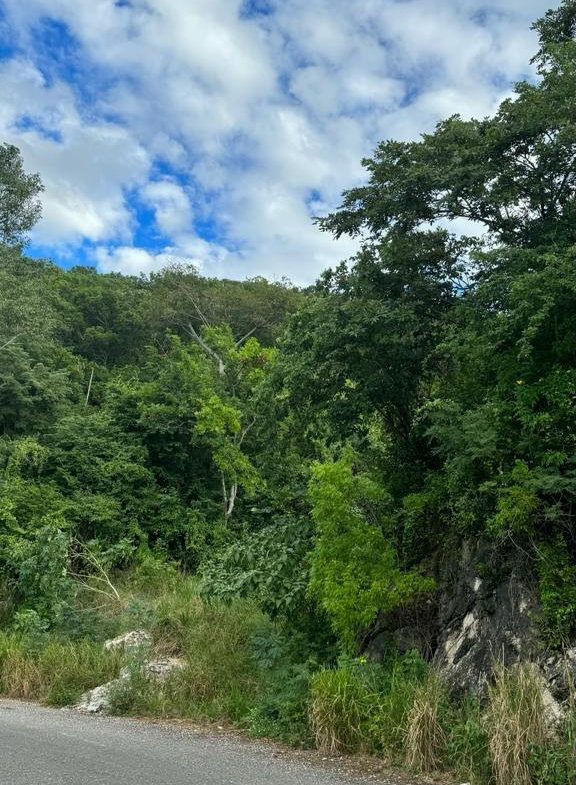 First image of Lot 189- Plantation Heights, Kings in Kingston 19, St. Andrew, Jamaica - property is For Sale