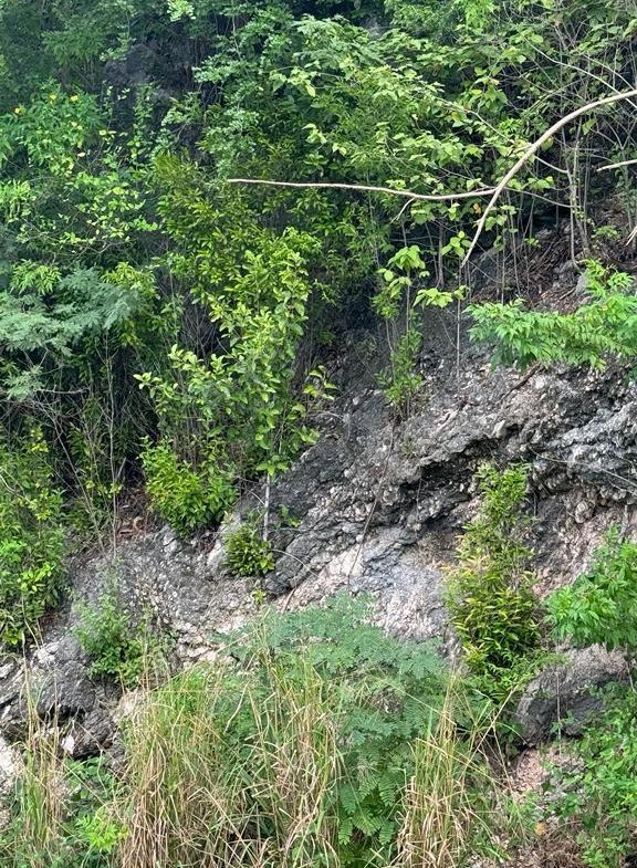 Seventh image of Lot 189- Plantation Heights, Kings in Kingston 19, St. Andrew, Jamaica - property is For Sale