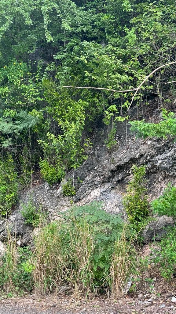 Seventh image of Lot 189- Plantation Heights, Kings in Kingston 19, St. Andrew, Jamaica - property is For Sale