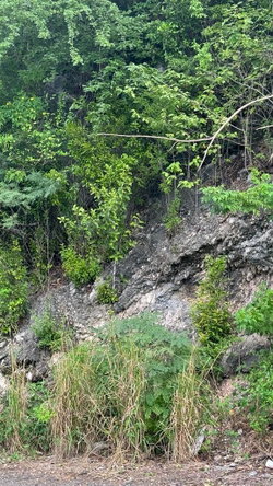 Seventh image of Lot 189- Plantation Heights, Kings in Kingston 19, St. Andrew, Jamaica - property is For Sale