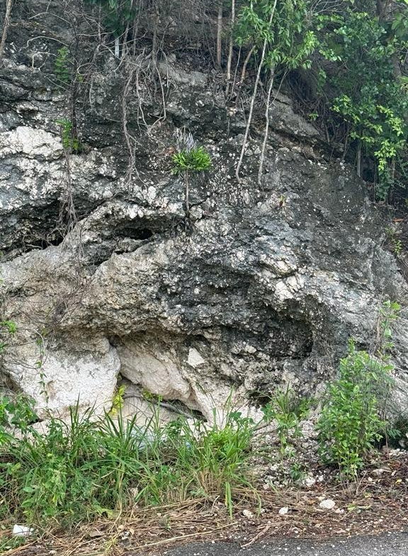 Eighth image of Lot 189- Plantation Heights, Kings in Kingston 19, St. Andrew, Jamaica - property is For Sale