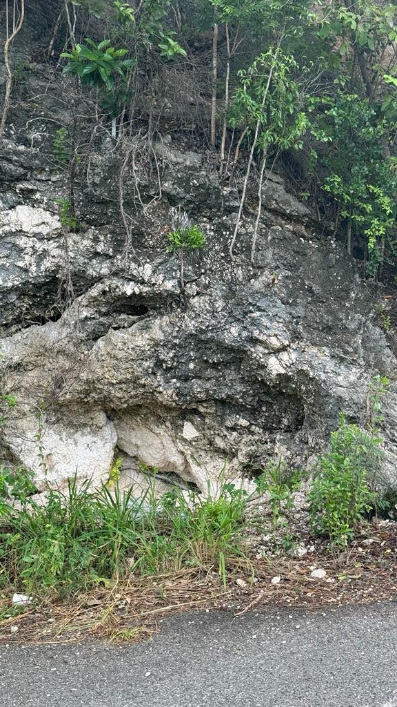 Eighth image of Lot 189- Plantation Heights, Kings in Kingston 19, St. Andrew, Jamaica - property is For Sale