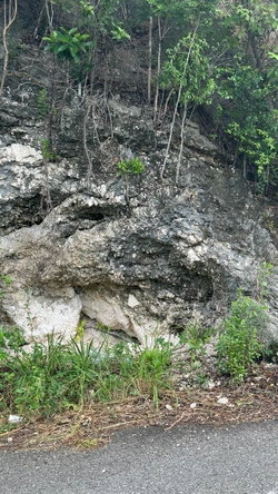 Eighth image of Lot 189- Plantation Heights, Kings in Kingston 19, St. Andrew, Jamaica - property is For Sale