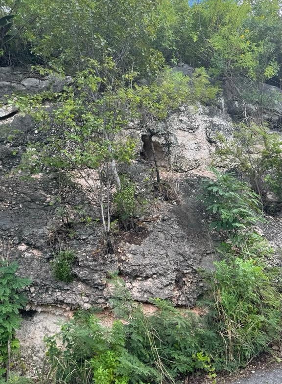 Tenth image of Lot 189- Plantation Heights, Kings in Kingston 19, St. Andrew, Jamaica - property is For Sale