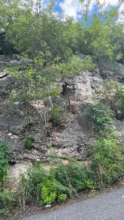Tenth image of Lot 189- Plantation Heights, Kings in Kingston 19, St. Andrew, Jamaica - property is For Sale