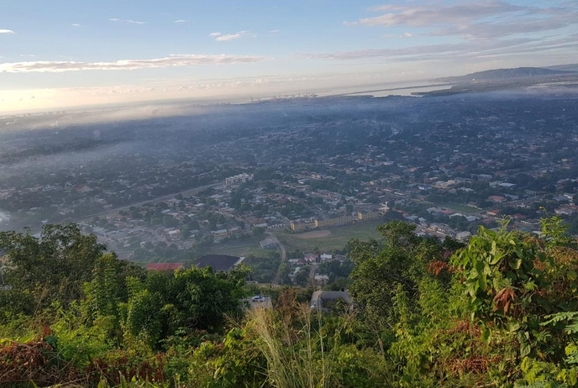 Eleventh image of Lot 19 Throne Circle in Kingston 19, St. Andrew, Jamaica - property is For Sale