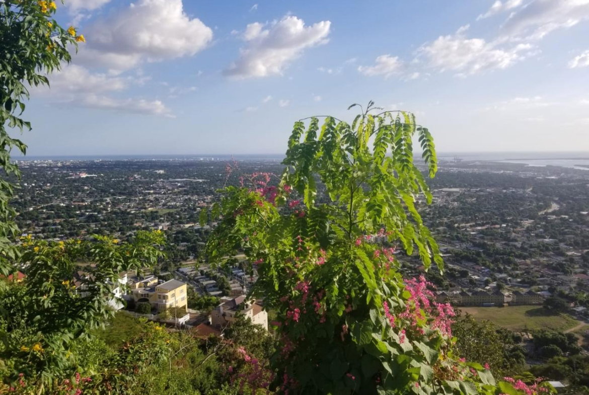 Fourth image of Lot 19 Throne Circle in Kingston 19, St. Andrew, Jamaica - property is For Sale