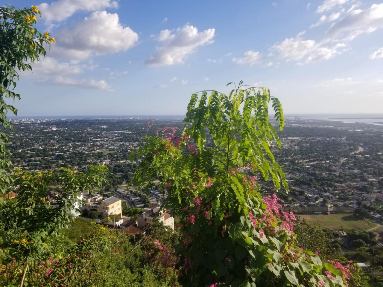 Stunning-Residential-Lot-for-Sale-in-Queen-Hill-Jamaica Fourth image of Lot 19 Throne Circle in Kingston 19, St. Andrew, Jamaica - property is For Sale