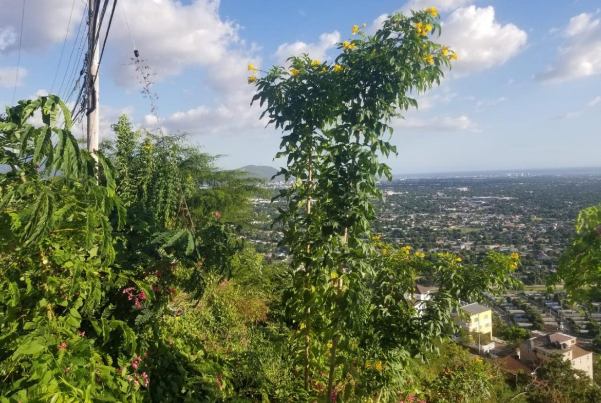 Sixth image of Lot 19 Throne Circle in Kingston 19, St. Andrew, Jamaica - property is For Sale