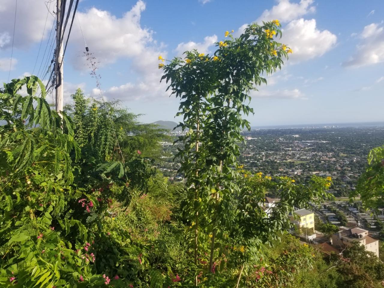 Stunning-Residential-Lot-for-Sale-in-Queen-Hill-Jamaica Sixth image of Lot 19 Throne Circle in Kingston 19, St. Andrew, Jamaica - property is For Sale