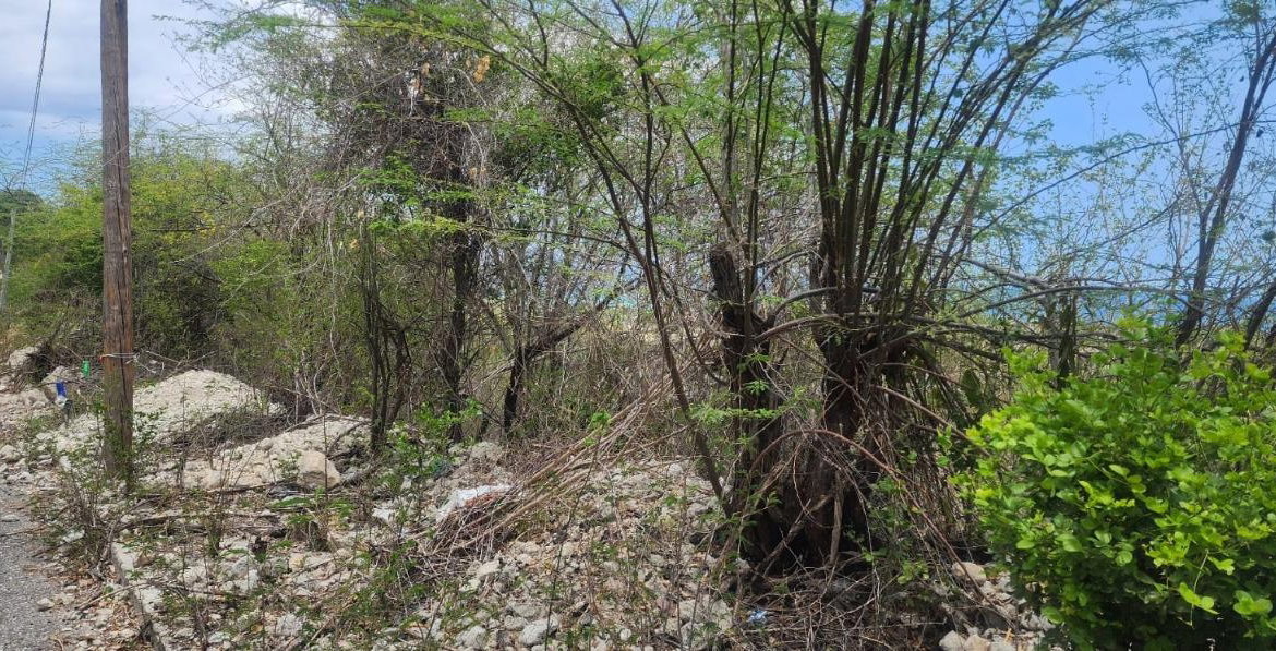 Second image of 107 Canewood Close, Rest Have in BULL BAY, St. Andrew, Jamaica - property is For Sale