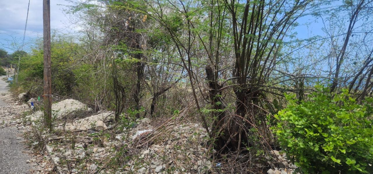 Second image of 107 Canewood Close, Rest Have in BULL BAY, St. Andrew, Jamaica - property is For Sale