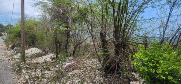 Second image of 107 Canewood Close, Rest Have in BULL BAY, St. Andrew, Jamaica - property is For Sale