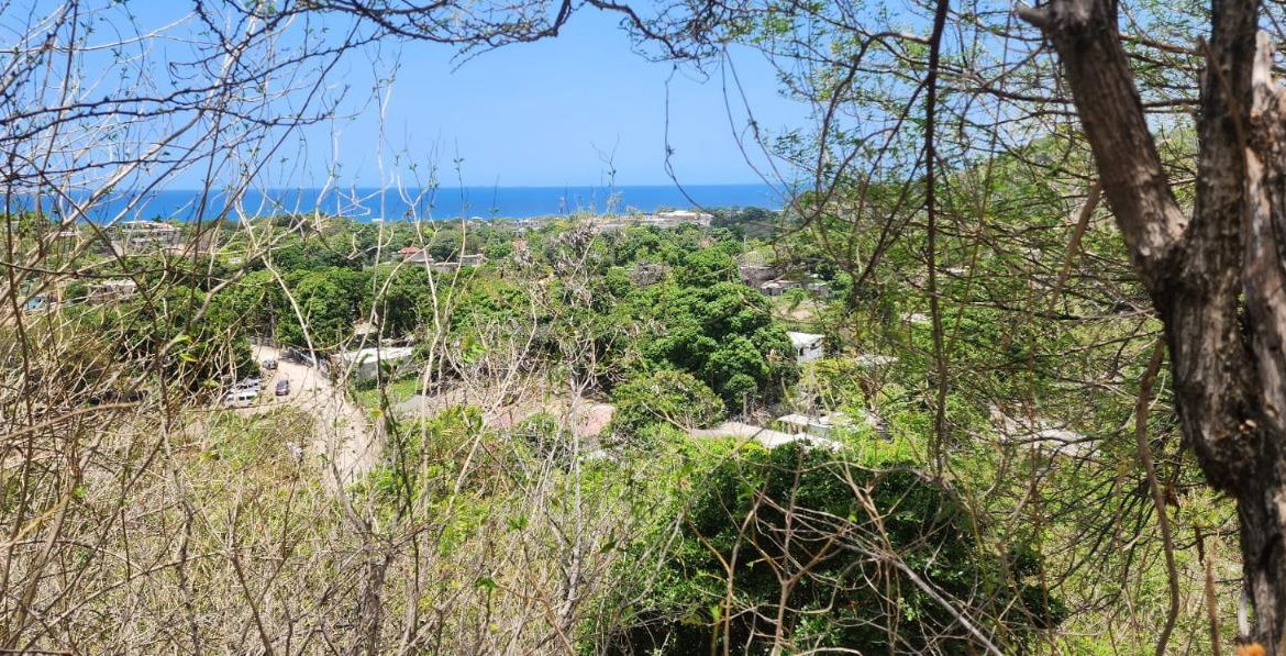 First image of 107 Canewood Close, Rest Have in BULL BAY, St. Andrew, Jamaica - property is For Sale